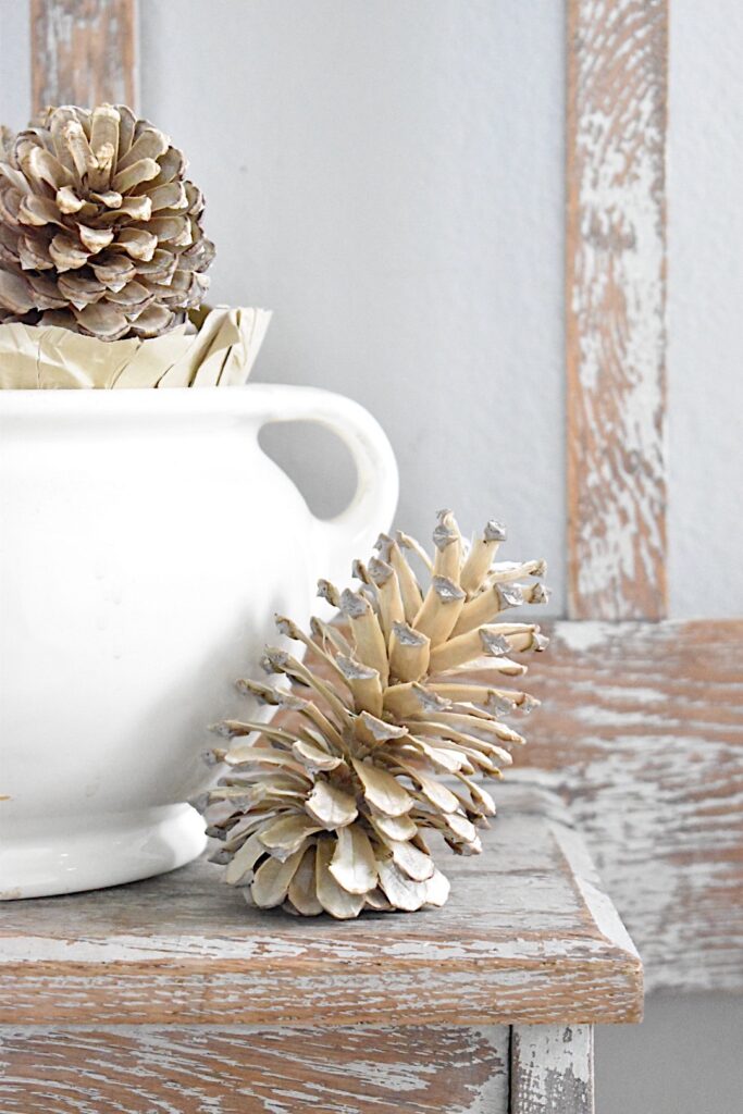 bleached pinecone sitting beside white ironstone pot