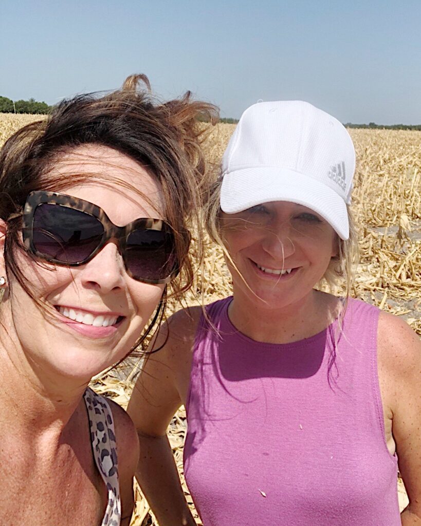 cornfield