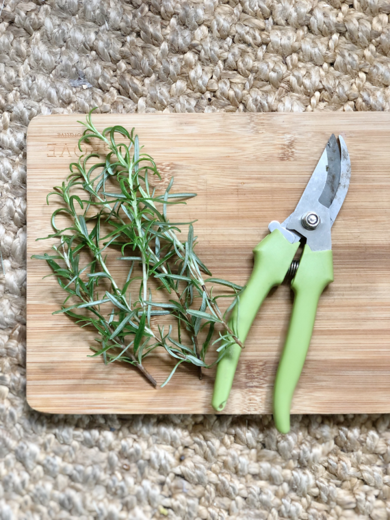 wooden cutting board with 5 sprigs of rosemary and clippers with green handle