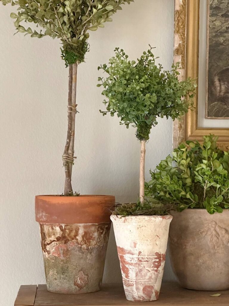 faux topiaries in weather clay pots on top of china cabinet