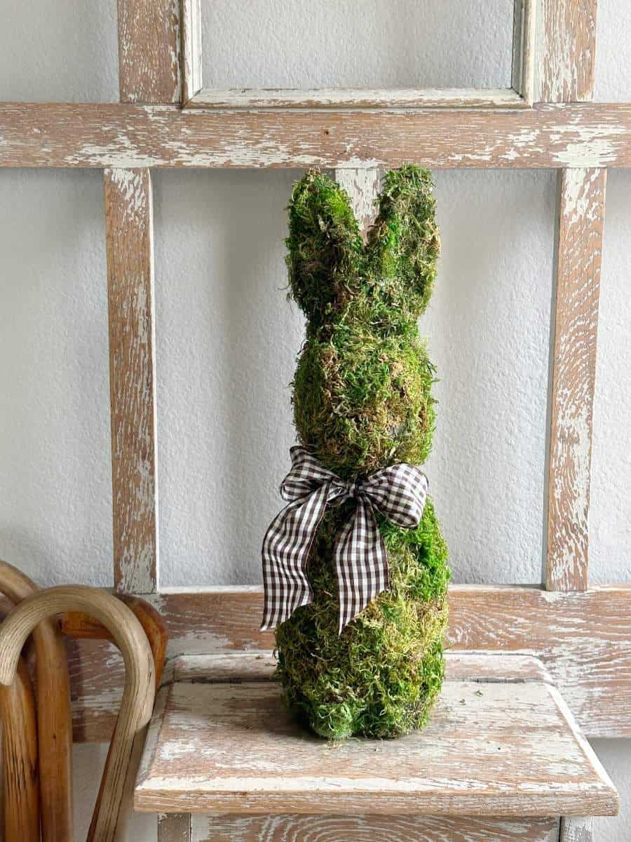 Bunny Craft: DIY Moss Covered Succulent Bunnies for Spring