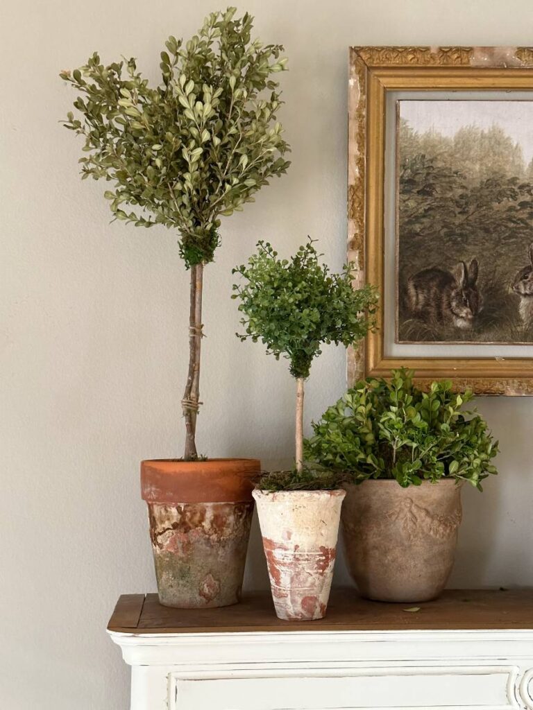 collection of faux topiaries in weather clay pots on top of china cabinet